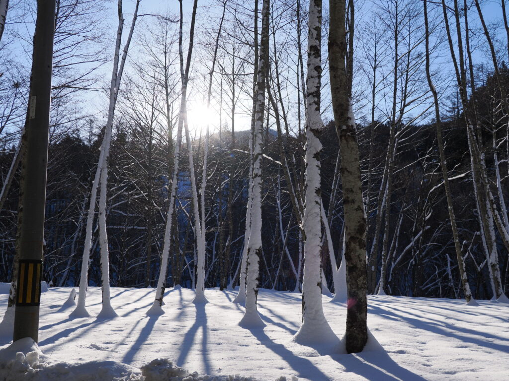 ワインディング途中にあり木漏れ日を撮影した。地面の残雪に写る木の陰が鮮烈。