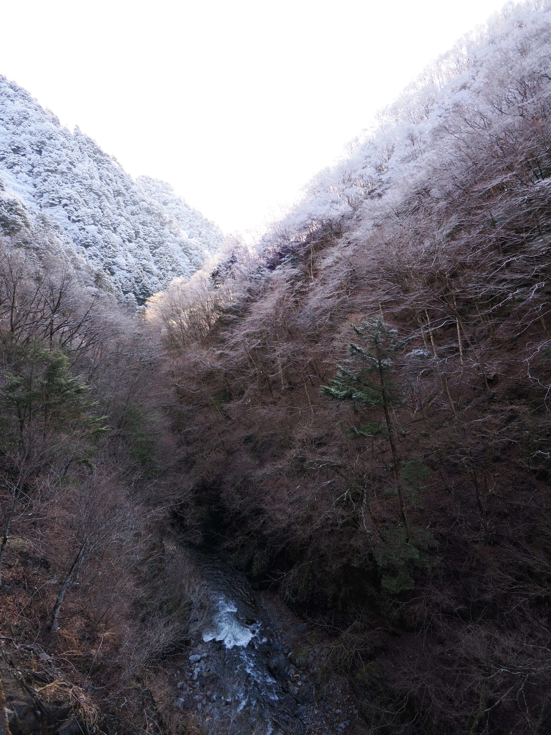 クルマを降りて撮影した風景写真。山肌は樹氷で覆われ、渓谷には川が流れている。